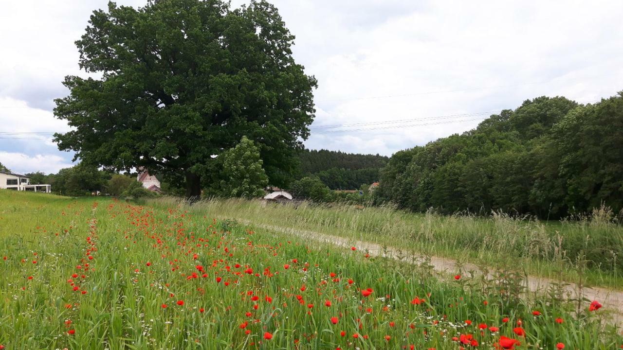 Spieglhof Apart Kumhausen Exteriör bild